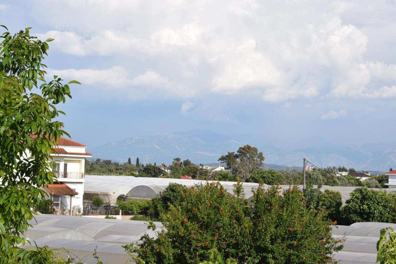 κτήμα κωνσταντινίδη